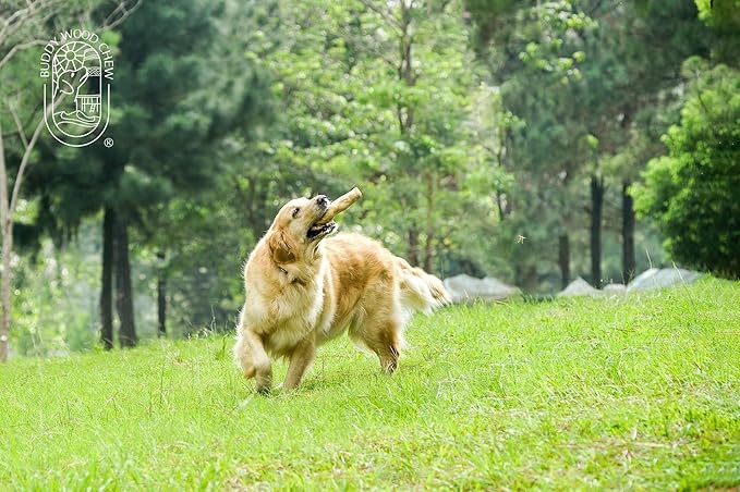 Coffee Wood Dog Chew Stick - 100% Natural Toy Safe, Durable L (Single)