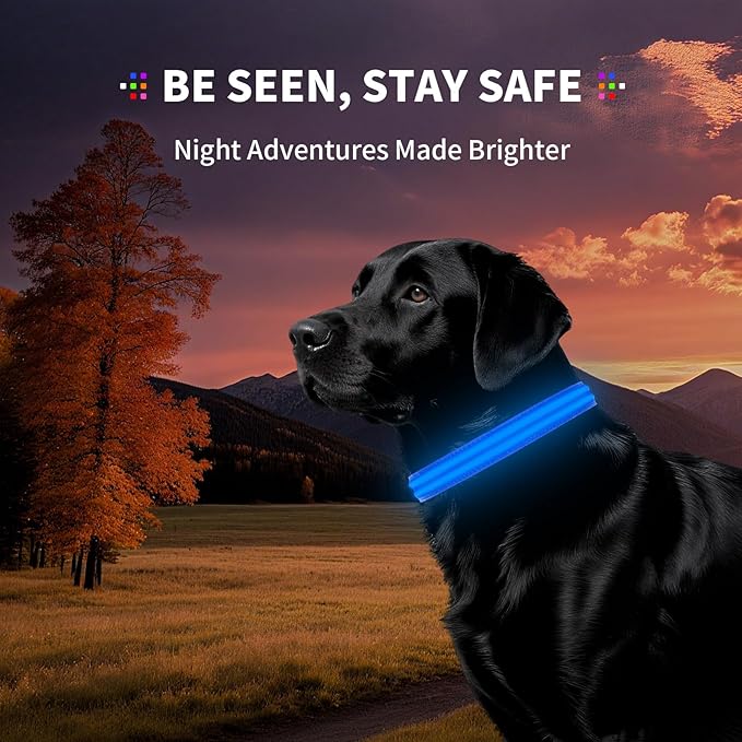 PetIsay Dog Light up Collar for Night Walking - High Visibility LED Dog Collar - Rechargeable - Waterproof - Reflective - Adjustable Lighted Glow Collars(Blue,Medium)