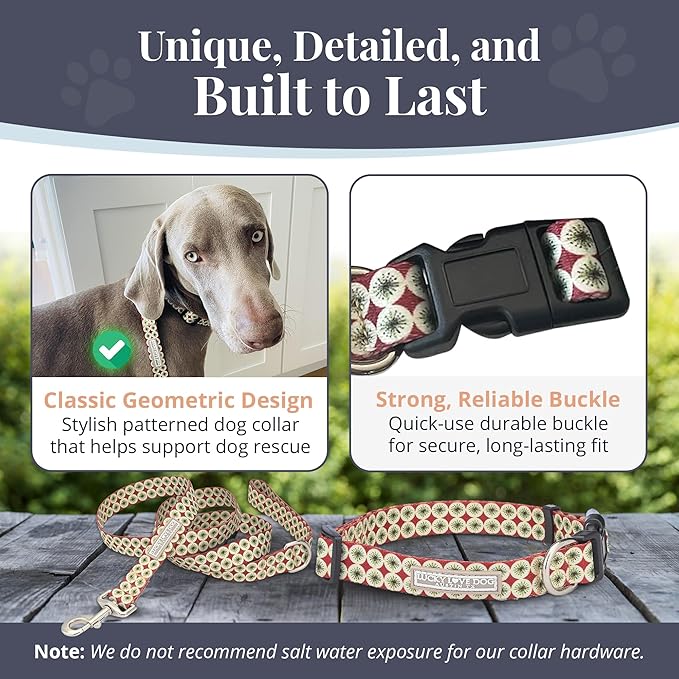 Lucky Love Dog - Easy Click Buckle Dog Collar with Leash Set Combo, Durable & Comfortable for Male & Female Dogs, Pet Collar for Small Dogs, Secure Fit - Pongo Combo, Small