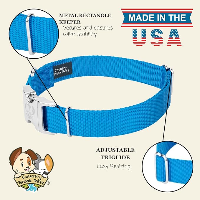 Country Brook Petz - Premium Nylon Dog Collar with Metal Buckle for Small Medium Large Breeds - 10+ Cool Colors (Large, 1 Inch, Ice Blue)