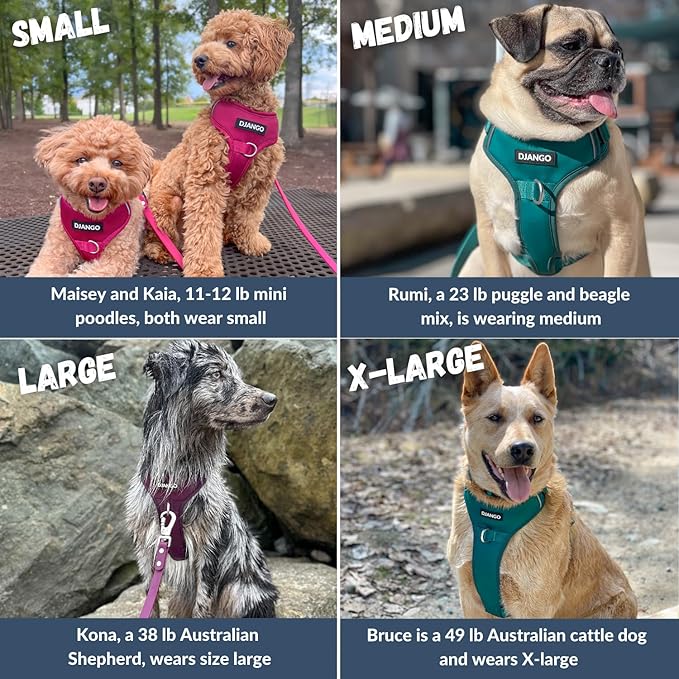 DJANGO Tahoe No Pull Dog Harness – Escape-Proof Dog Harness for Small Dogs with Front & Back Clips for Everyday Use – Adjustable, Padded, Reflective, Secure Fit, Easy On/Off – Alpine Blue, Small