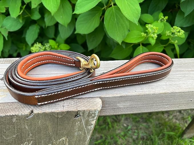 Leaders Leather Dog Collar with Customized Name Plate (5ft Leash Dual Padded)