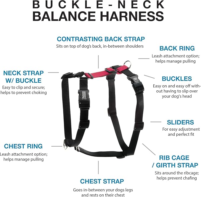 Blue-9 Pet Products No-Pull Balance Harness and Loose Leash Walking Set Dogs, Made in The USA, Red, Medium/Large