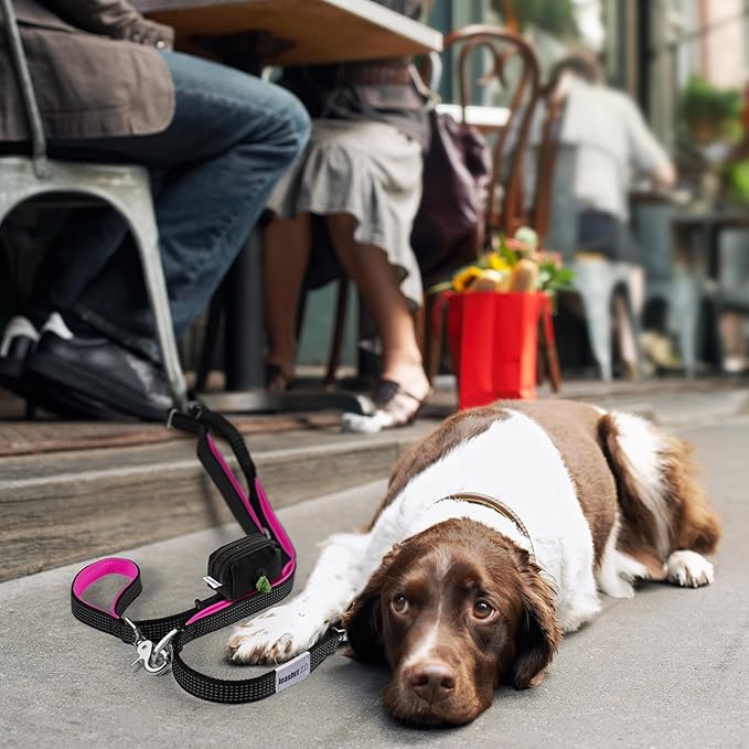 No Pull Dog Leash for Large Dogs – 6ft Highly Reflective Bungee, Heavy Duty Leash for Large Dogs, 4 Padded Handles, Strong Carabiner Clip & Rings, Includes Poop Bag Holder & Treat Pouch (Purple)