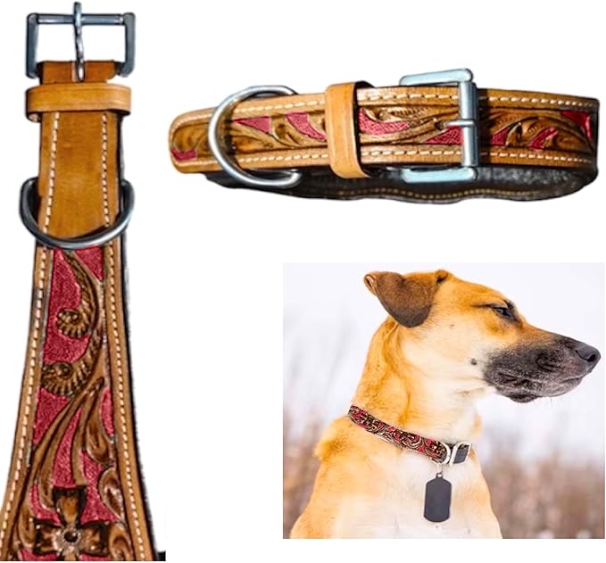 Majestic Ally Leather Dog Collar with Adjustable, Padded Fit for Walking, Hiking, and Running, Designer Western Wear for Puppies, Fancy Colors (Red - Natural, Large)