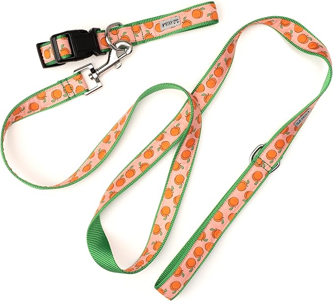 THE WORTHY DOG 5 FT Nylon Dog Leash for Medium to Large Dogs, Metal Quick Clip, Peachy Keen Pattern, Peach, Large