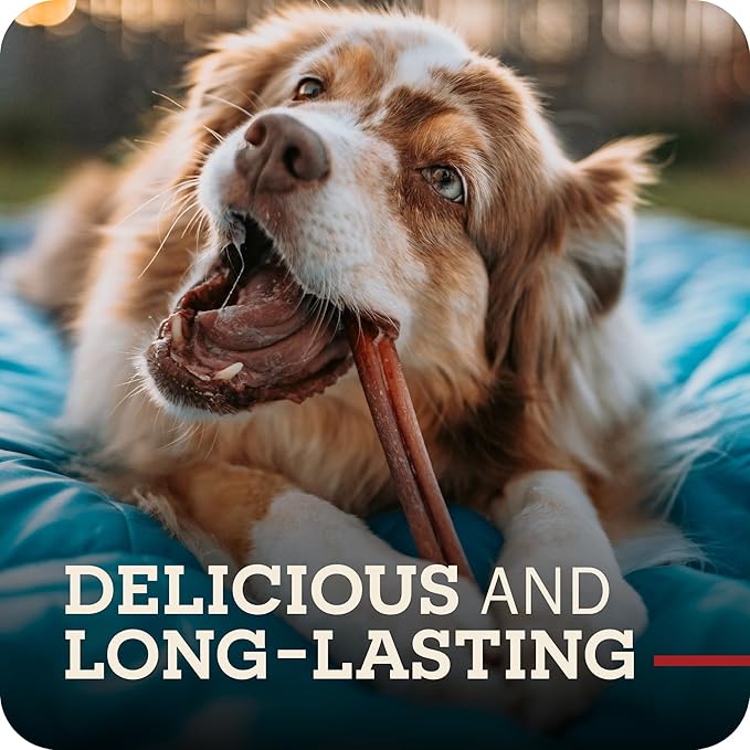 Redbarn Pet Products 12" Bully Sticks for Dogs, Case of 35
