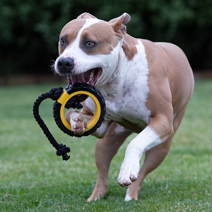 Tonka Mega Tread Rope Tug Dog Toy, Lightweight, Durable and Water Resistant, 15 Inches, for Medium/Large Breeds, Single Unit, Yellow/Black