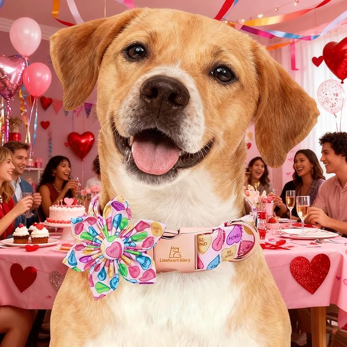 Lionheart glory Dog Collar with Flower - Valentine's Day Dog Collar for Medium Dogs Hearts Print Collars Adjustable Sturdy with Flower Spring Cute Collars Male Female Dogs