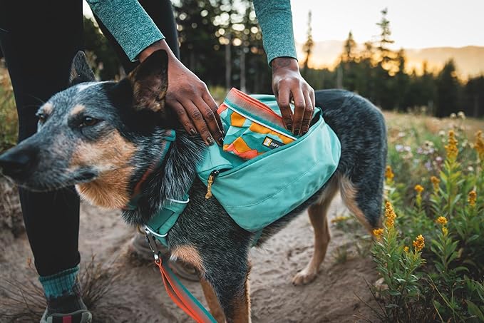 Ruffwear, Quencher Collapsible Dog Bowl, Packable Food & Water Bowl with Waterproof Lining, Water-Resistant Shell, & Reflective Trim, Lightweight, 4.2 Cups (1 L), Coastal Mountains, Medium