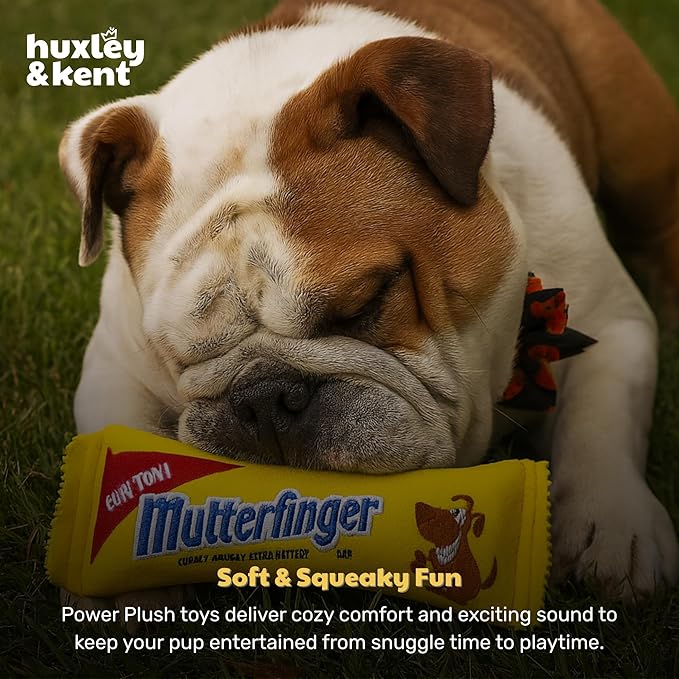 Huxley & Kent Funny Dog Toy w/Squeaker – Power Plush Squeaky Dog Toys for Small, Medium & Large Dogs – Soft Stuffed Animal for Indoor Play & Fetch - Mutterfinger, Large