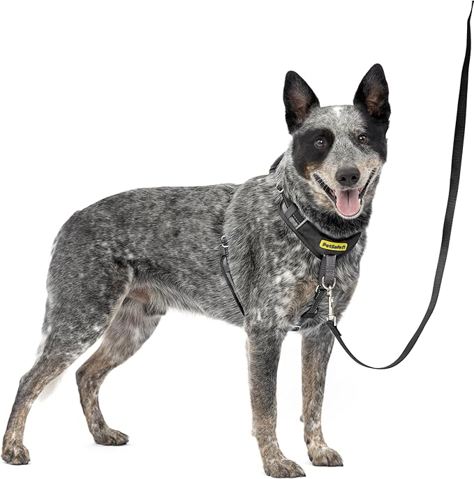 PetSafe Easy Walk Comfort No-Pull Dog Harness - Better Walk Training Harness - Full Body Padded Design - Durable Fabric - 5 Point Adjustable Fit - Everyday Leash Training - Black - Medium/Large