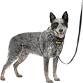 PetSafe Easy Walk Comfort No-Pull Dog Harness - Better Walk Training Harness - Full Body Padded Design - Durable Fabric - 5 Point Adjustable Fit - Everyday Leash Training - Black - Medium/Large