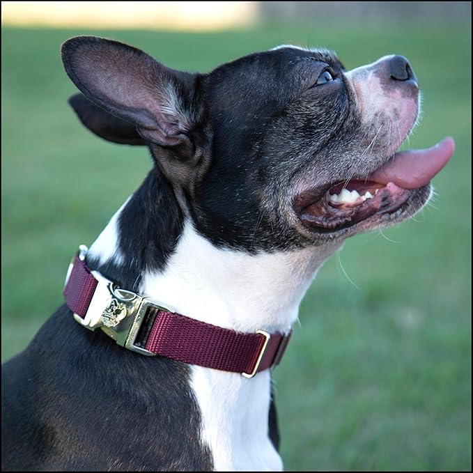 Country Brook Petz - Premium Nylon Dog Collar with Metal Buckle for Small Medium Large Breeds - 10+ Warm Colors (Large, 1 Inch Wide, Burgundy)