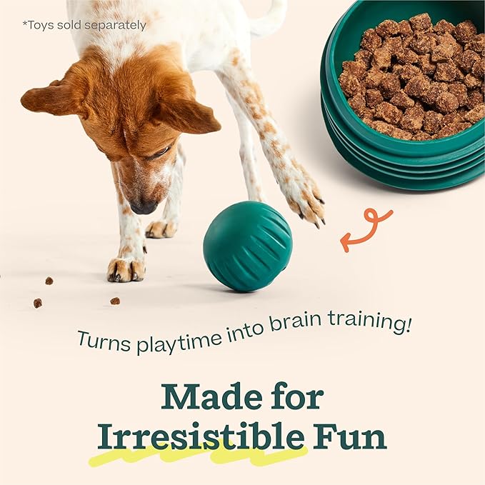 WOOF Air-Dried Puzzle Treats - Refill Treats Sized Puzzle Toys - The Perfect Dog and Puppy Training Treats - Made with Real Chicken - 12 oz