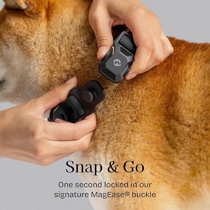 2026 New Edition, Fei & Eve PVC MagEase Dog Collar - Patented Magnetic Buckles | Fur-Safe | 450LB Escape-Proof | Adjustable Fit | Medium (Black)