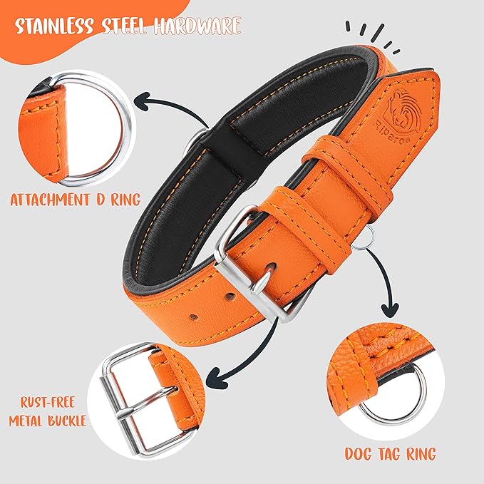 Riparo Orange Dog Collar, Leather Dog Collar with Dog Tag Holder, Small Dog Collar for Small Dogs (S: 0.75” Wide for 10”-13.5” Neck, Orange)