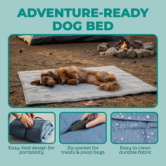 KindTail Nomad Nap Mat - Travel Dog Bed - Machine Washable, Water-Resistant Dog Mat for Pets up to 50 lbs - Lightweight, Portable Pet Bed with Carry Handle - Folds to 14 x 9 x 5 (1.5 lbs, Light Grey)