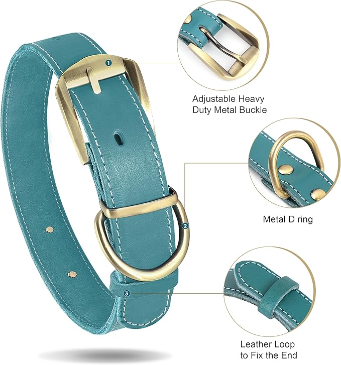 Didog Genuine Leather Dog Collars with Engraved Nameplate, Personalized Soft Leather Dog Collar with Custom ID Tag, Brown/Green/Red for Small Dogs (S,Blue)