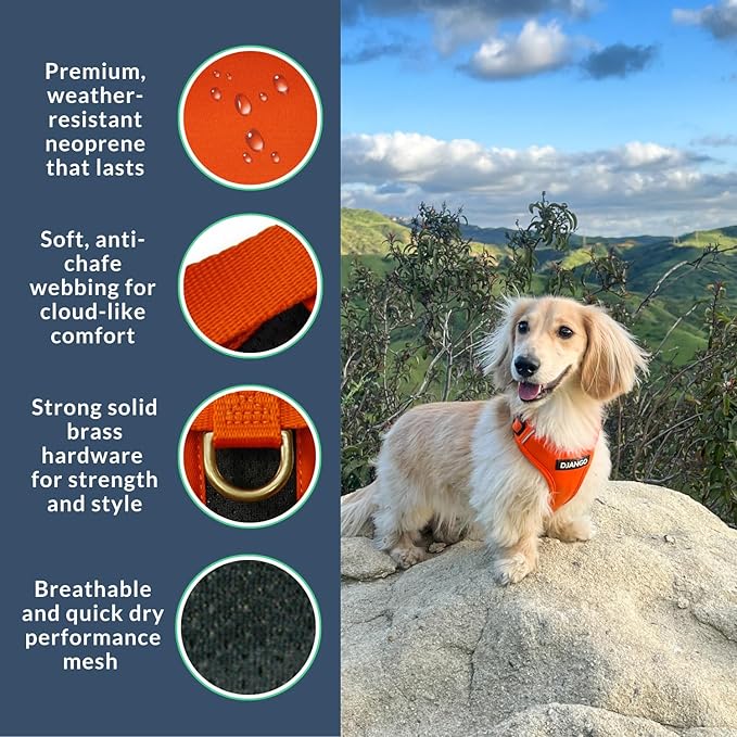 DJANGO Adventure Dog Harness - Stylish, & Durable Medium Dog Harness for Outdoor Adventures and Everyday Wear - Sunset Orange Neoprene Adjustable Harness for Dogs with Reflective Piping & Brass D-ring