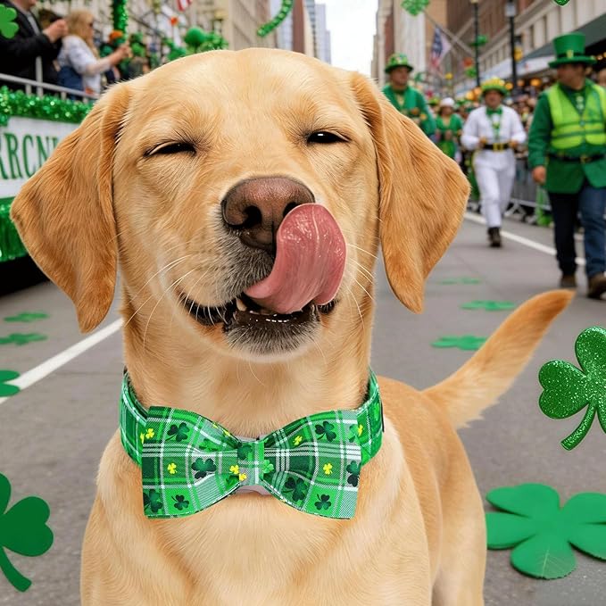 Elegant little tail St Patrick's Dog Collar - Green Plaid Lucky Clover Cotton Shamrock Pet Collar Bowtie Cute Collars with Bow Adjustable Pet Collars for Large Dogs