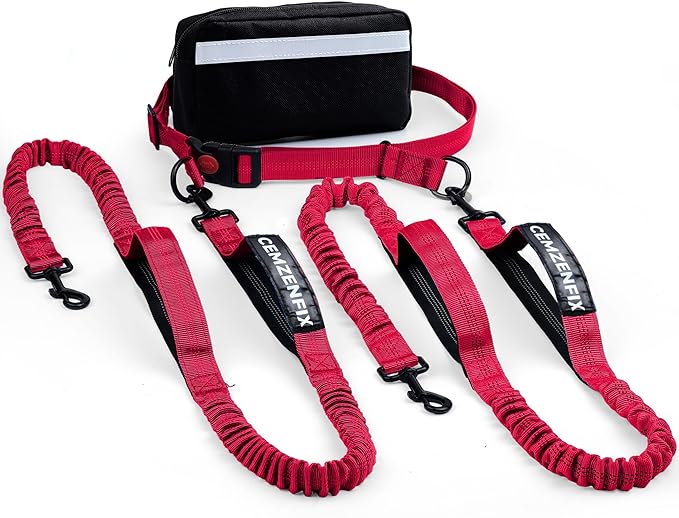 Hands Free Dog Leash for 2 Dogs – Waist Leash for Dog Walking with Dual Bungee, Reflective No Pull Design, Adjustable Belt & Pouch for Running, Hiking, Jogging