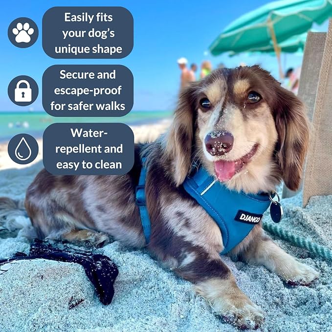 DJANGO Adventure Dog Harness - Stylish & Durable Medium Dog Harness for Outdoor Adventures and Everyday Wear - Pacific Blue Neoprene Adjustable Harness for Dogs with Reflective Piping, Brass D-Ring