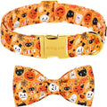 ARING PET Dog Collar with Bow-Halloween Dog Collar Bowtie, Adorable Boy and Girl Ghost Pumpkin Dogs Bowtie Collar Gifts with Metal Buckle