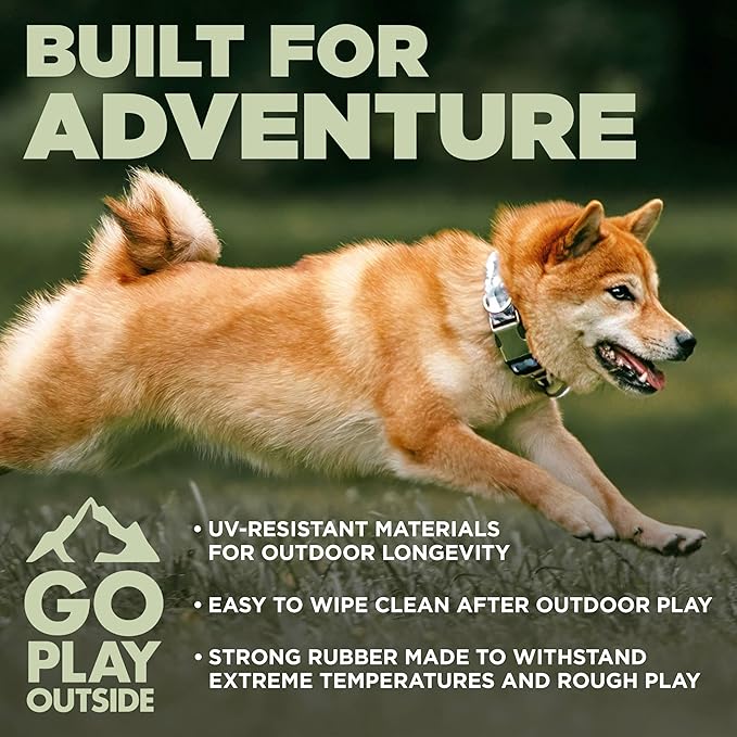 Plush Dog Toys | 2 Pack Flying Duck & Trout Fish Stuffed Animal Squeaky Toy for Dogs | Outdoor Pet Toy Built for Adventure