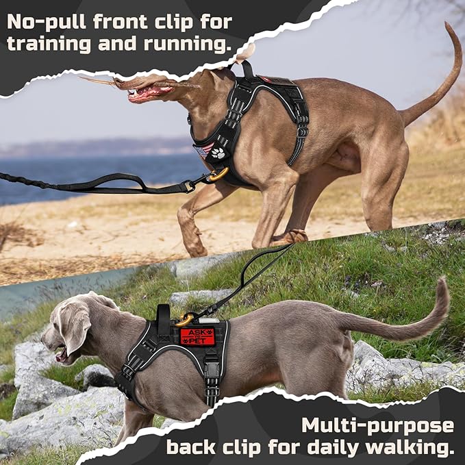 rabbitgoo Tactical Dog Harness for Small Dogs, No Pull Military Service Vest with Handle & Molle, Easy Control for Training Walking, Adjustable Reflective Straps, Black, S