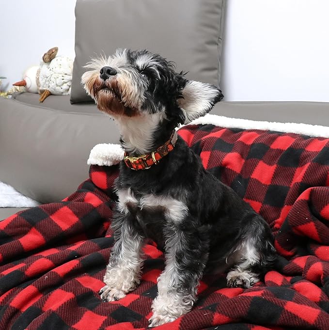 Unique style paws Dog Collar Metal Buckle Gift for Small Medium Large Boys Girls Dogs, XS