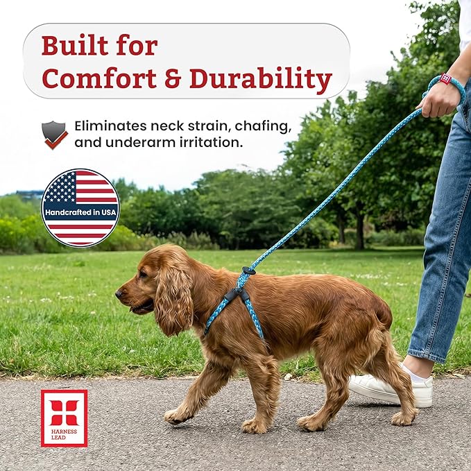 Harness Lead No Pull Dog Harness and Leash Set, Anti Pull Dog Harness, One-Piece Cushioned Rope Safely Prevents Escaping and Pulling *New Insert is Removable (Extra Large,Orange/Reflective)