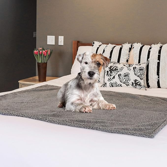 rocket & rex Medium Waterproof Dog Blanket, Grey, Washable Waterproof Pet Blanket Protects Beds, Couches & Other Furniture, Premium Fleece Fabric with Reversible Faux Suede, 30" x 40" (Pack of 1)