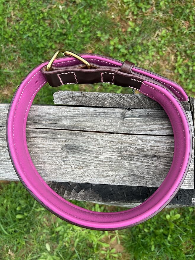 Leaders Leather Dog Collar with Customized Name Plate (Pink/Brown Extra Large (21"-26"))