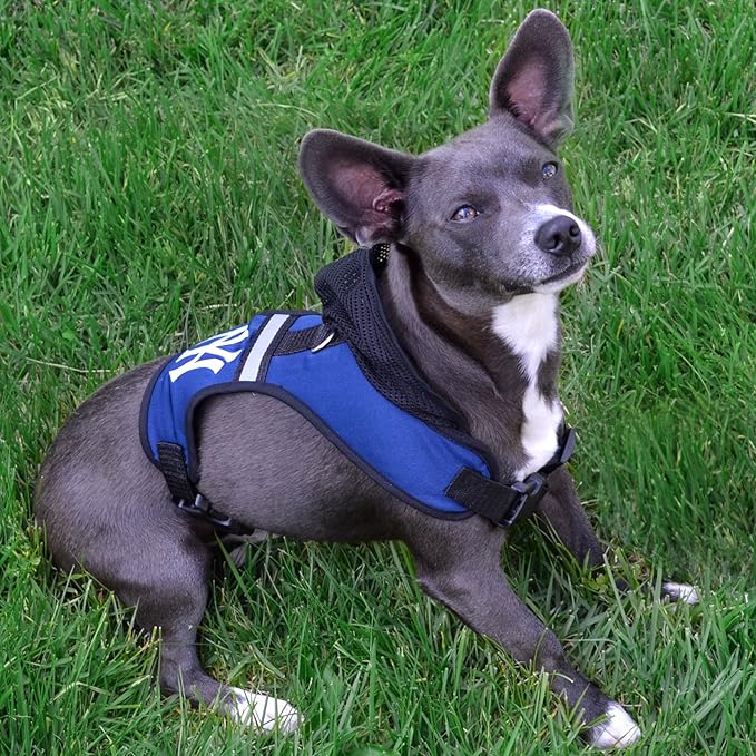 Pets First New Orleans Saints Harness, Large