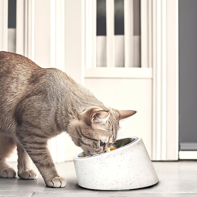 bzyoo 16oz Tilted Dog Bowl for Small Dogs & Cats, 15° Elevated Stainless Steel Pet Feeder, Ergonomic Anti-Vomiting Food Bowl for Frenchie, Pug, Persian Cat, Non-Skid Melamine Stand, Sprinkle (White)