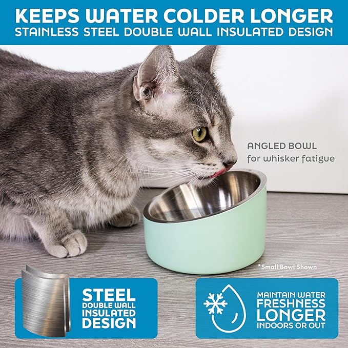 Master Pet Supply Stainless Steel Slanted Dog Cat Food Bowl - 8 oz Heavy Duty - Crimson Flame, Double Wall Insulated, Non-Slip Elevated Bowl for French Bulldogs Pugs Cats, Anti Rust Dishwasher Safe