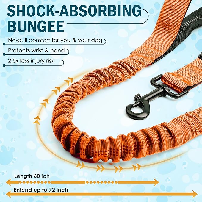 Hands Free Dog Leash for 2 Dogs – Waist Leash for Dog Walking with Dual Bungee, Reflective No Pull Design, Adjustable Belt & Pouch for Running, Hiking, Jogging