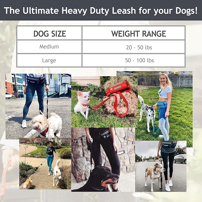 DOCO Hands Free Dog Leash (Waist 26”- 48”, Leash- 1”x 5ft) Waist Belt for Walking, Running, Training & Hiking, Bungee with Dual Handles, Adjustable Fit, Reflective Safety Design for Large Dogs (Black)