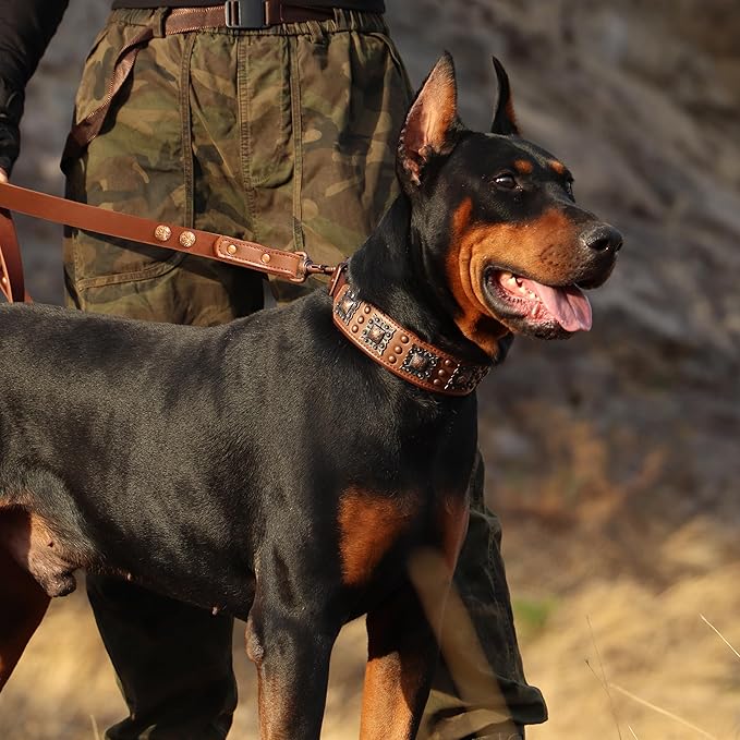PET ARTIST Genuine Leather Dog Collar for Large Dogs, 2 inch Wide Luxury Dog Collar with Rivet Studded & Metal Buckle, Comfortable & Stylish Pet Collars for Great Dane Rottweiler,Brown,Neck 22-25"