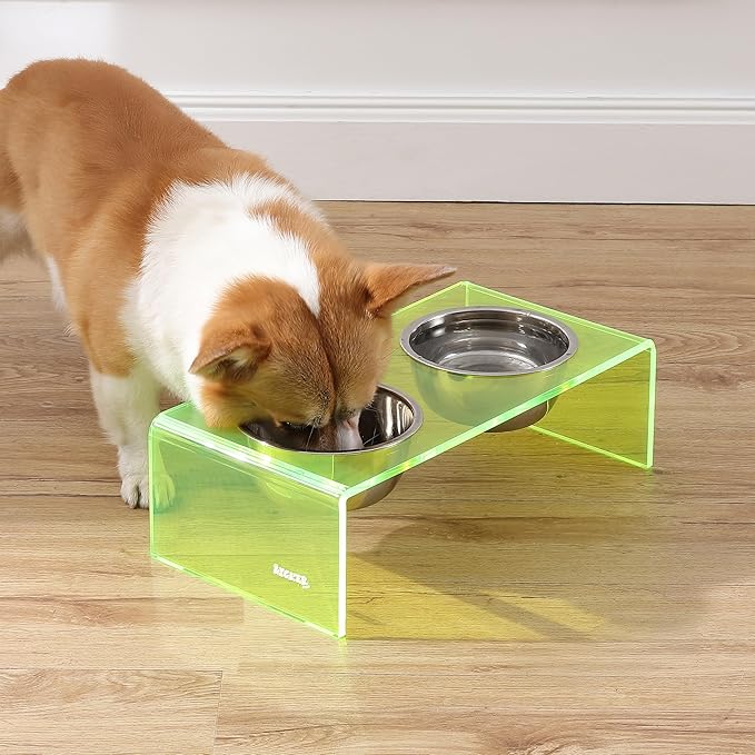 The LICKER Store DBL2000G Keaton 5" Small/Medium Modern Acrylic Rectangular Elevated Pet Feeder with 20oz 2-Stainless Steel Bowls, Green/Chrome