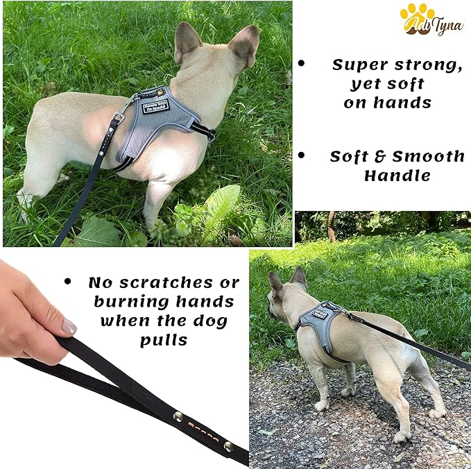 ADITYNA - Premium Leather Dog Leash - 6 ft, Heavy-Duty, Soft & Strong for Small/Medium Dogs (Small: 6 ft x 1/2", Black)
