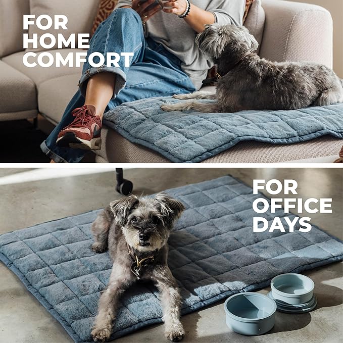 KindTail Nomad Nap Mat - Travel Dog Bed - Machine Washable, Water-Resistant Dog Mat for Pets up to 50 lbs - Lightweight, Portable Pet Bed with Carry Handle - Folds to 14 x 9 x 5 (1.5 lbs, Blue)