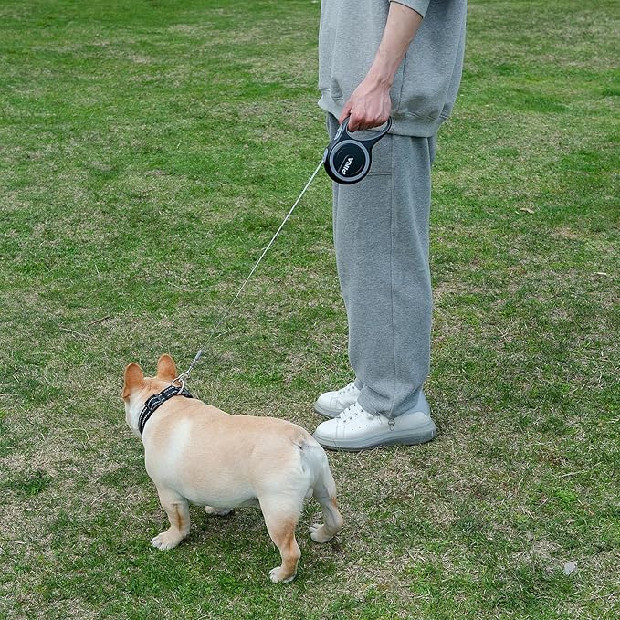PINA Retractable Dog Leash, 26ft Dog Leash for Small Medium Large Dogs Up to 110lbs, 360° Tangle-Free Strong Reflective Nylon Tape, with Anti-Slip Handle, One-Handed Brake, Lock - 2PACK
