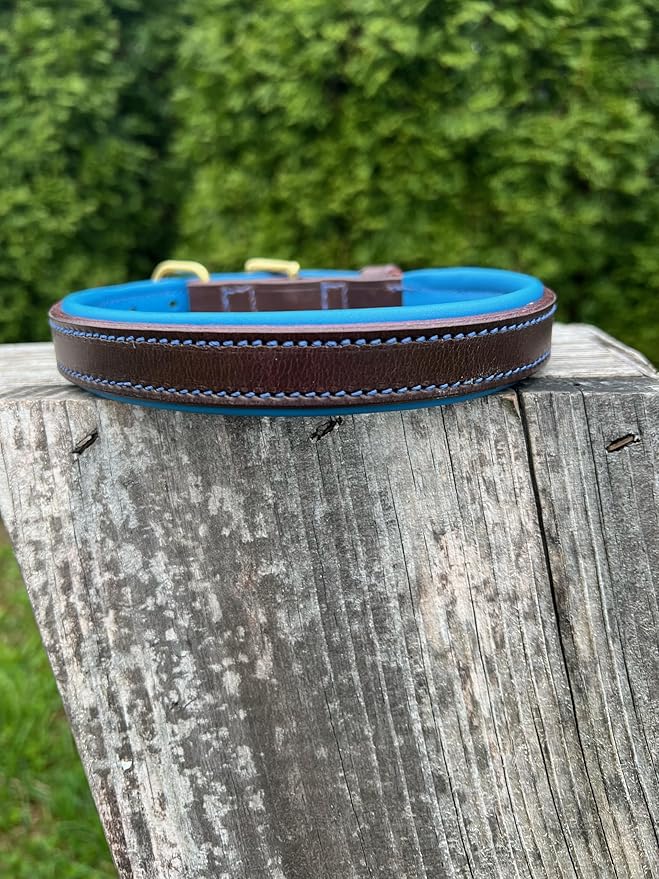 Leaders Leather Dog Collar with Customized Name Plate (Royal Blue/Brown Medium/Large (15"-19"))