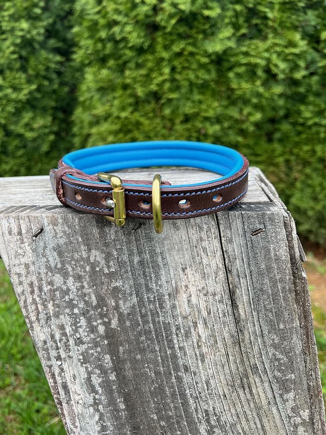 Leaders Leather Dog Collar with Customized Name Plate (Royal Blue/Brown Medium/Large (15"-19"))