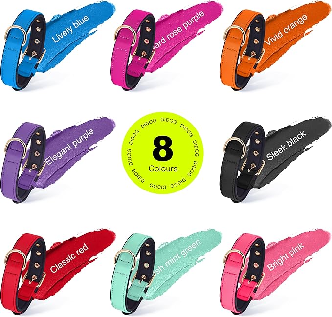 Didog Soft Padded Dog Collars for Small Dogs, Lightweight and Breathable Dog Collar with Metal Buckle, Blue, M