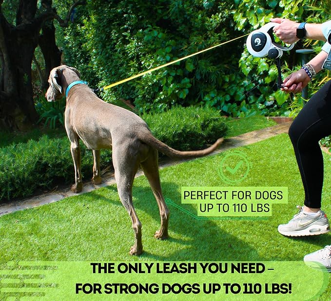 Snuggle Paws All-in-One Retractable Dog Leash 16ft – LED Flashlight, Poop Bag Holder, Chew-Proof Cable, Reflective Tape, No-Tangle – Heavy Duty for Large Dogs up to 110 lbs