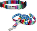 Lucky Love Dog - Adjustable Dog Collar and Leash Set with Easy Click Buckle for Large Dogs, Durable, & Comfortable Collar for Male & Female Dogs, Puppies & Adult Ones - Nacho Combo, Large