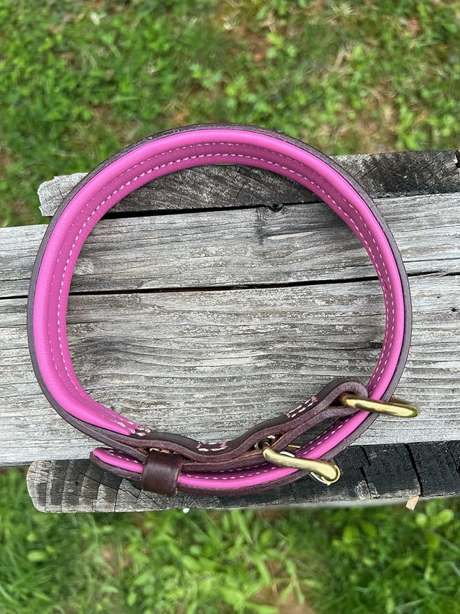 Leaders Leather Dog Collar with Customized Name Plate (Pink/Brown Medium (12"-15"))